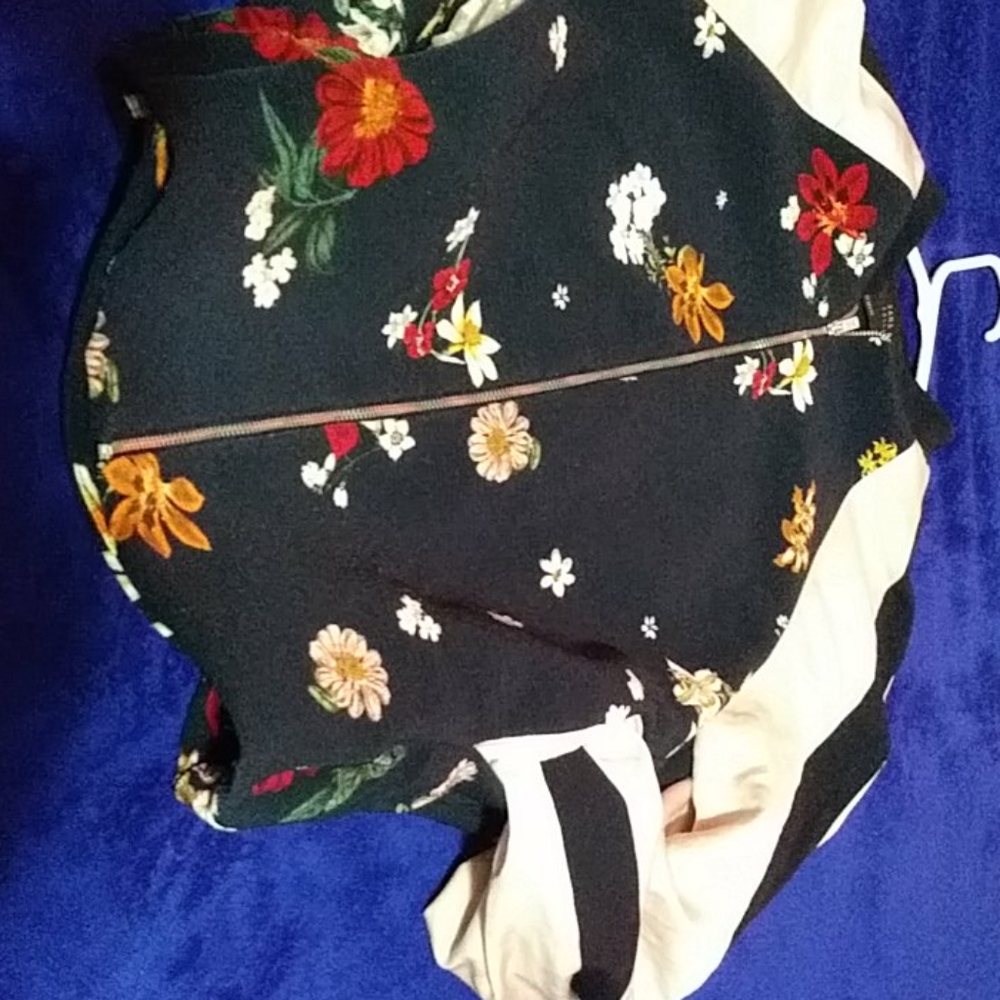 Zara basic collection
